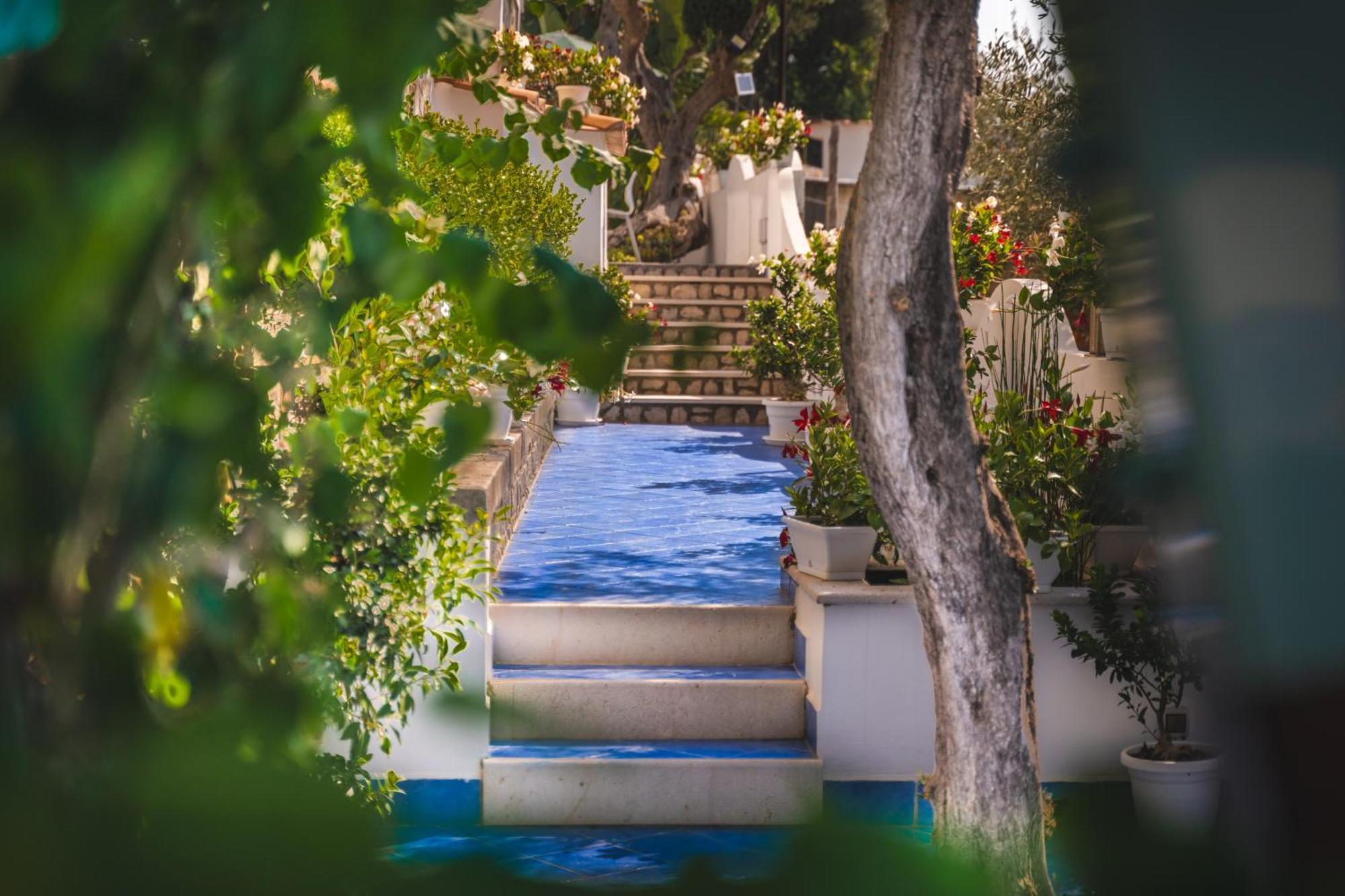 Villa Islamorada Pool And Sea View Massa Lubrense Zewnętrze zdjęcie